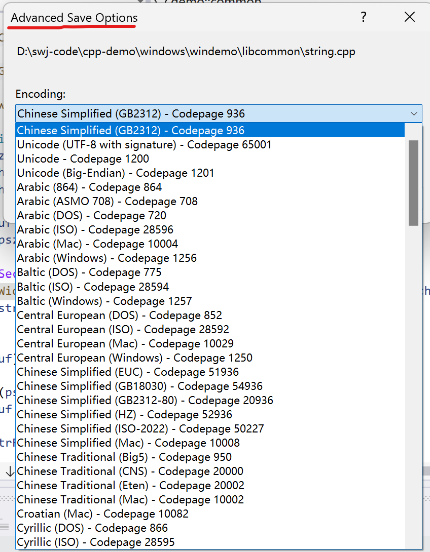 visual studio中的code page